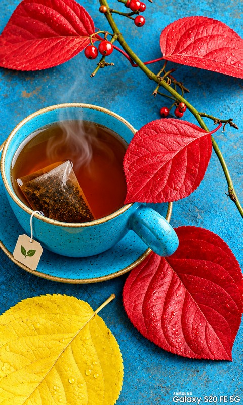 Y❤️ Autumn tea