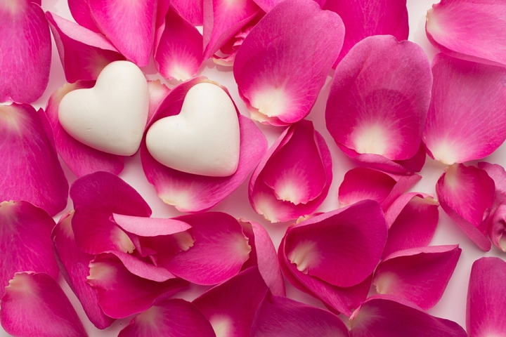 Love Rose