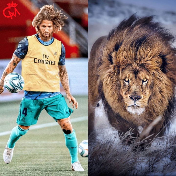 king