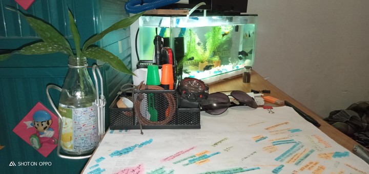aquarium