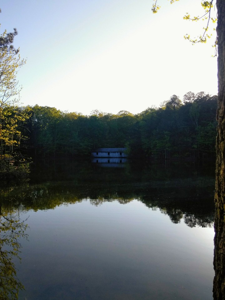 bridge