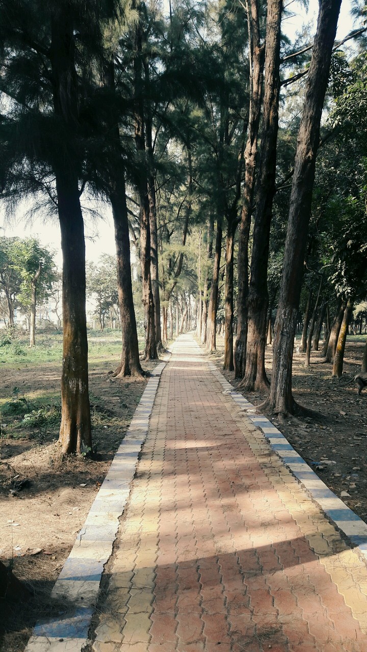 Twilight...