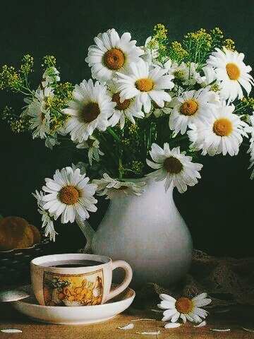 Bouquet de marguerites !!!!