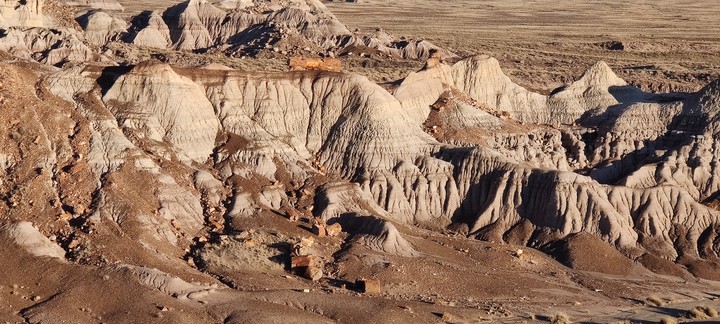 Petrified Wood on the bluffs