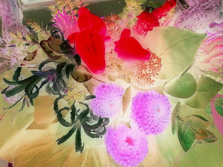 Mistery Flowers