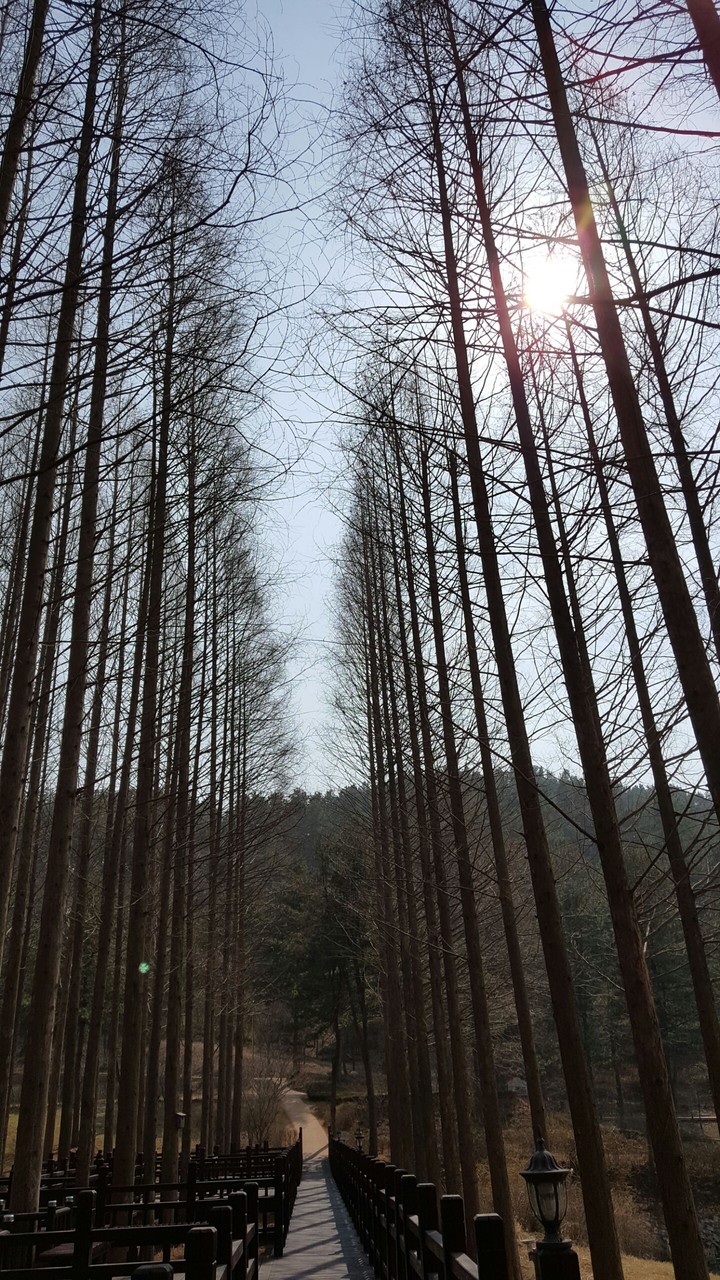 길