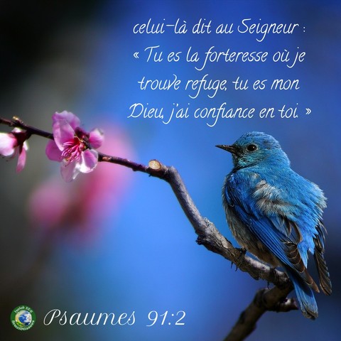 Bible