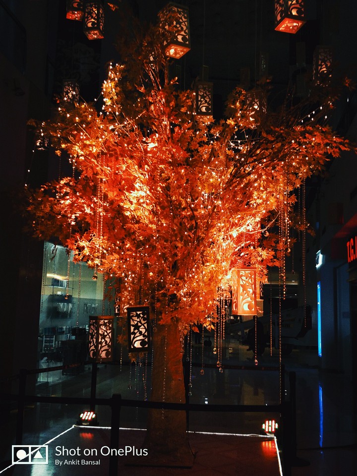 light tree