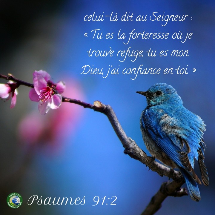 Bible