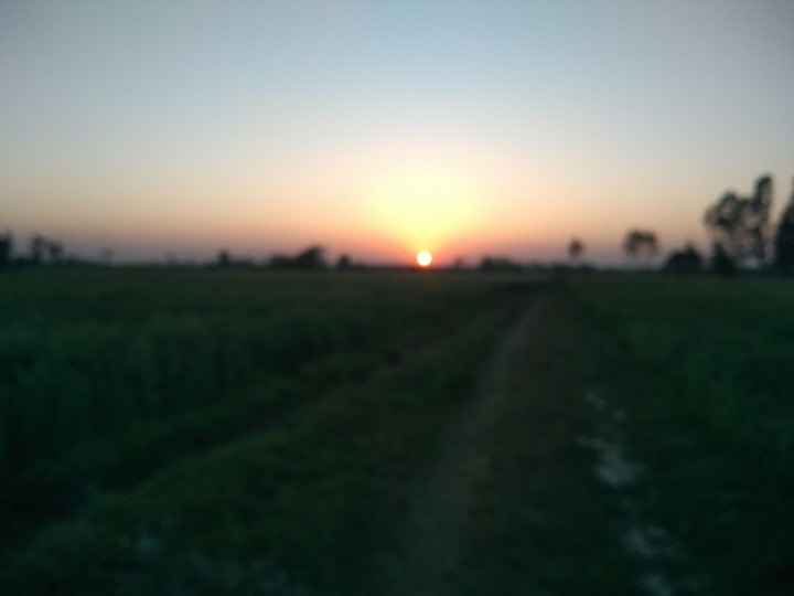 Beautiful Sunset