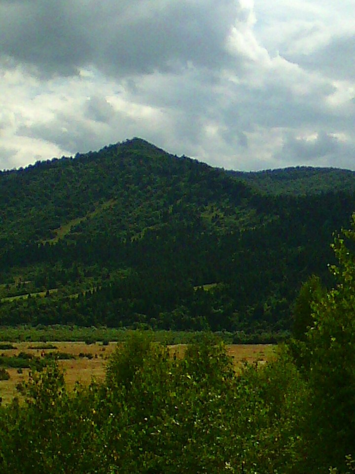 ГОРИ