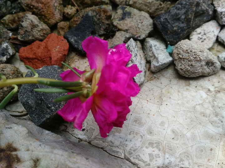 beauty in its own way