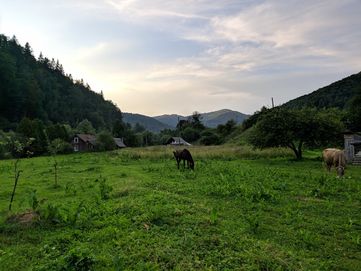 Carpathian mountains Ukraine