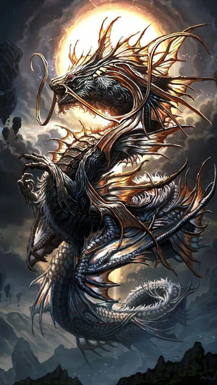 dragon 03