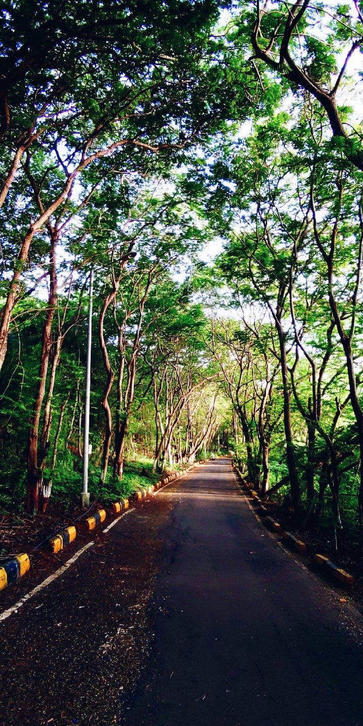 Nature