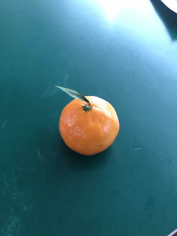 Just a Tangerine :D