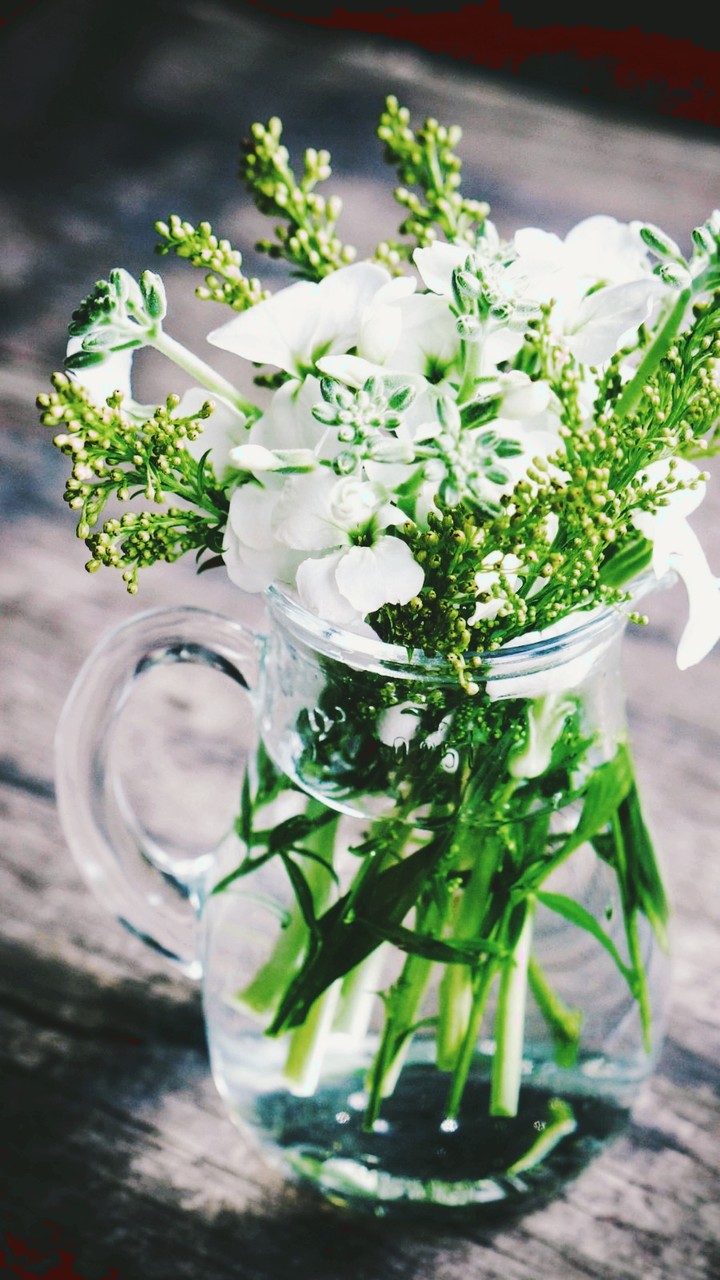 vaso&fiori