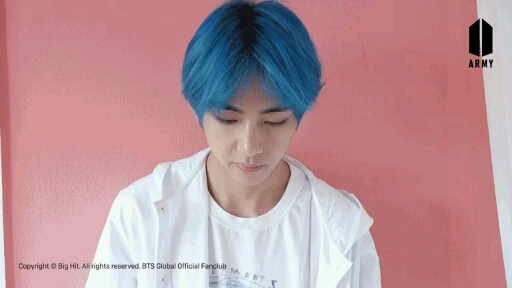 BTS V