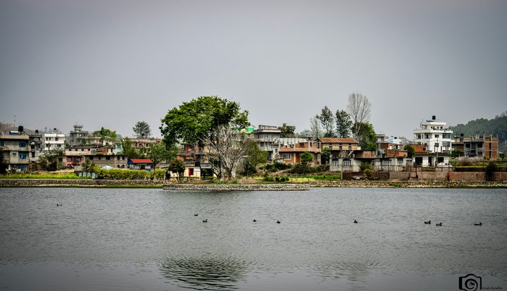 taudaha