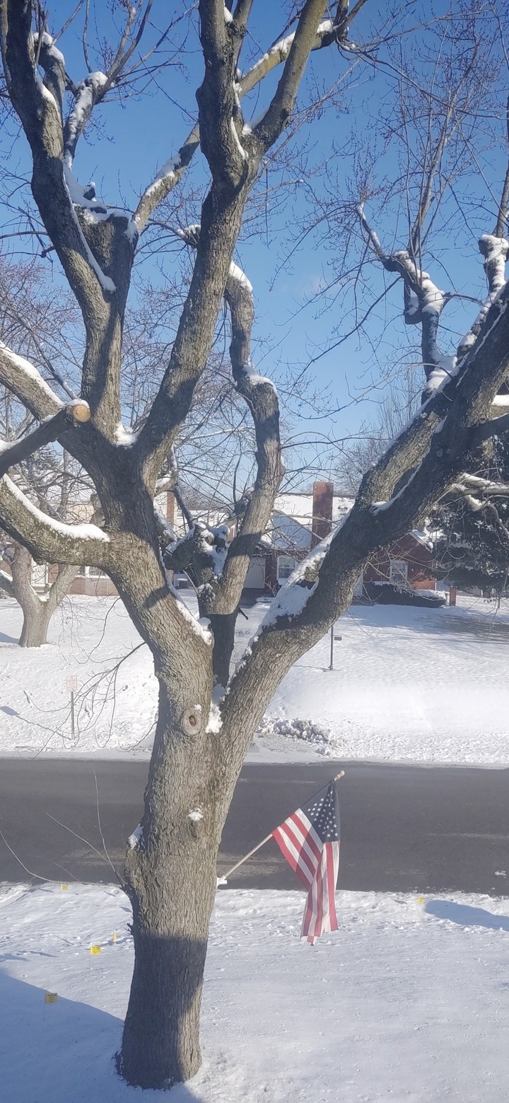 Winter in Ohio