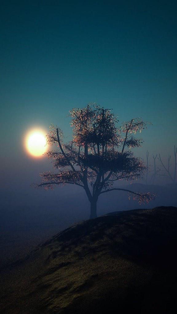 Good night