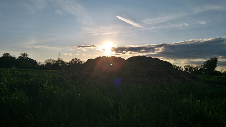 Countryside