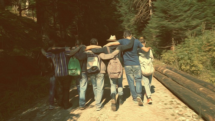 friends to the forest