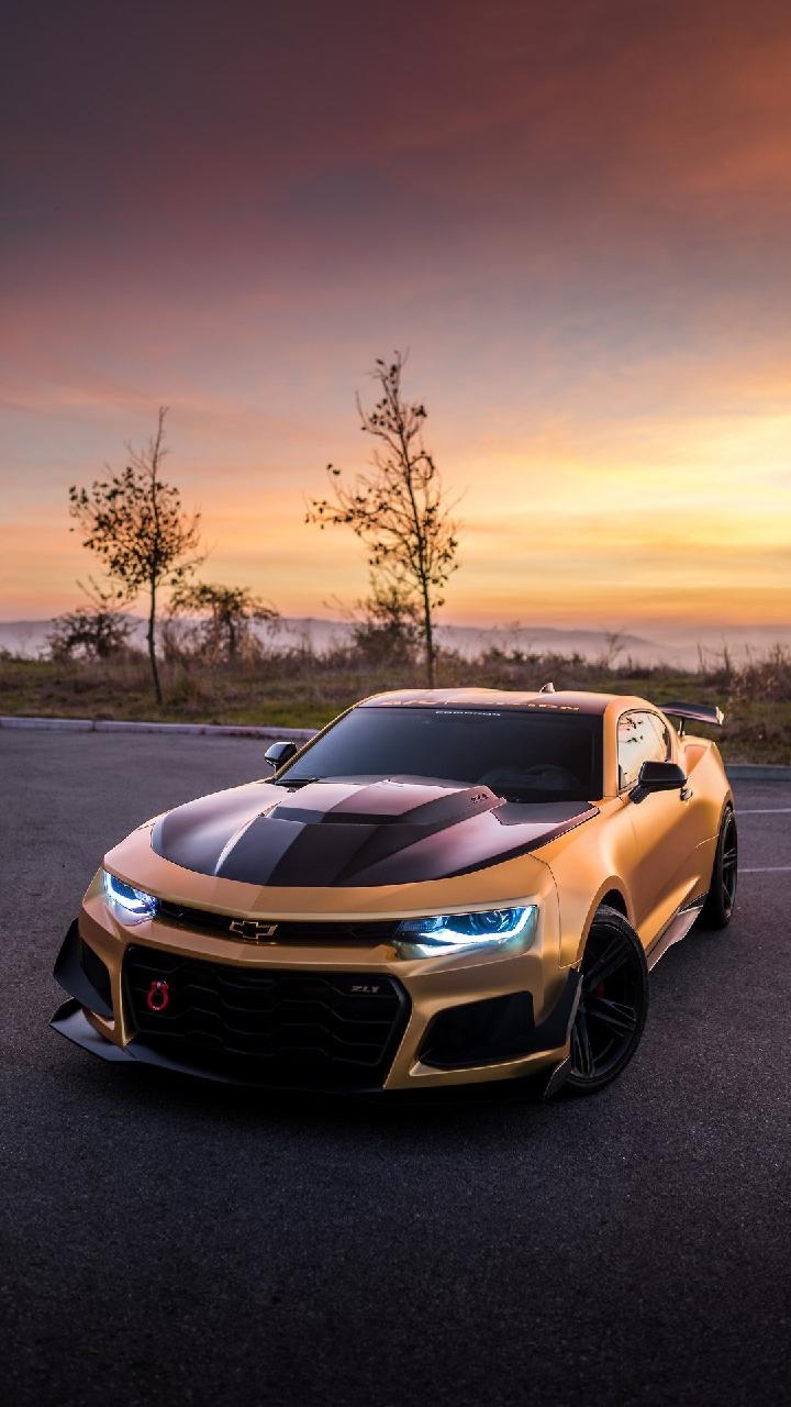 ygt