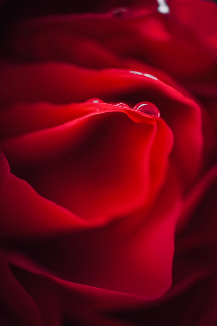 ●○~°•☆°•~♡♡♡♡~•°☆•°~○●