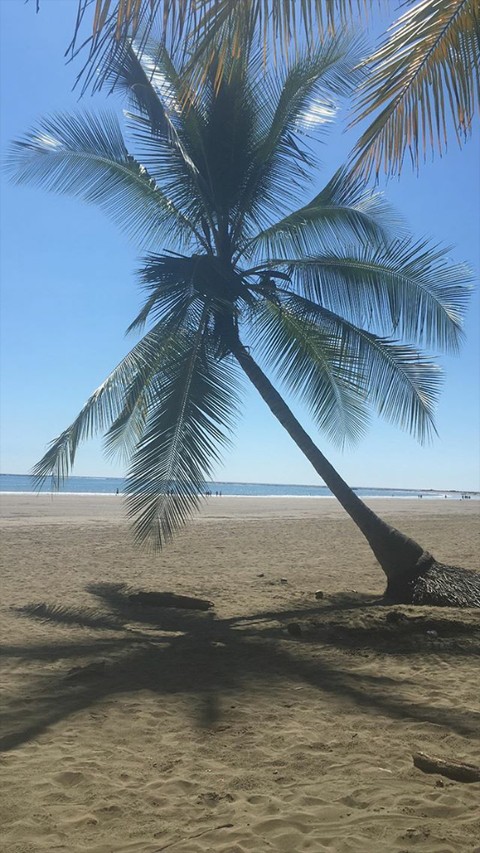 playita