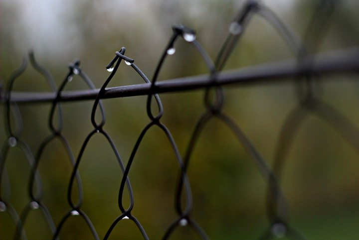 Rain