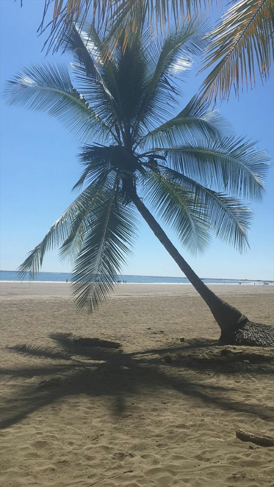 playita