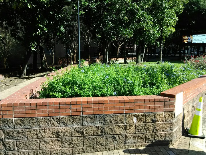 Tiny Garden