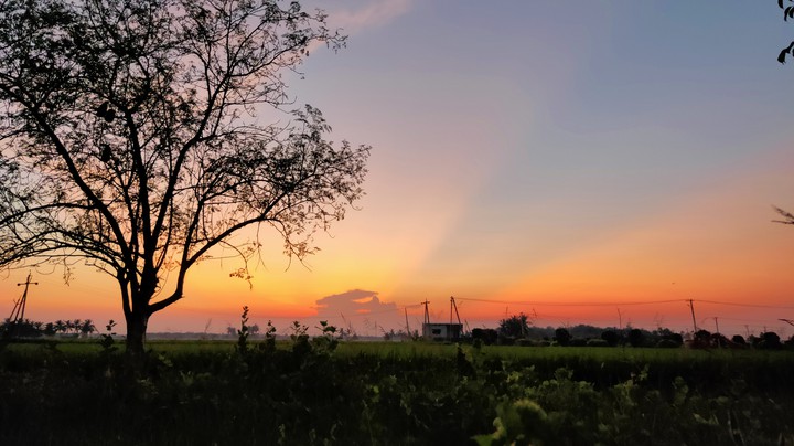 Evening