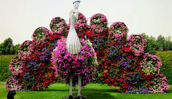 miracle garden dubai