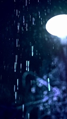 Rain