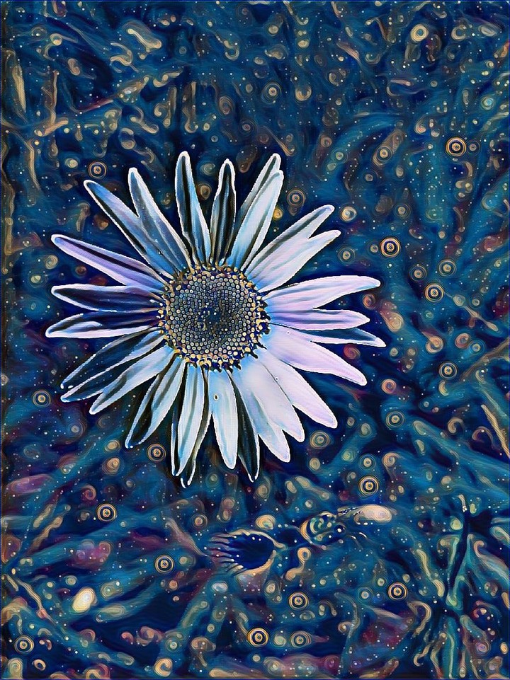 wild flower