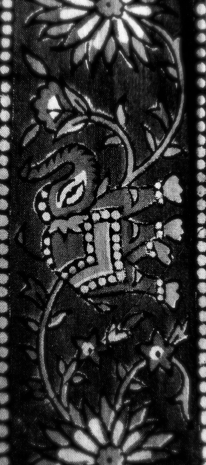 Indian Elephant
