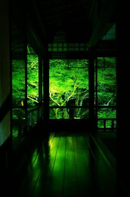 Japon in the night