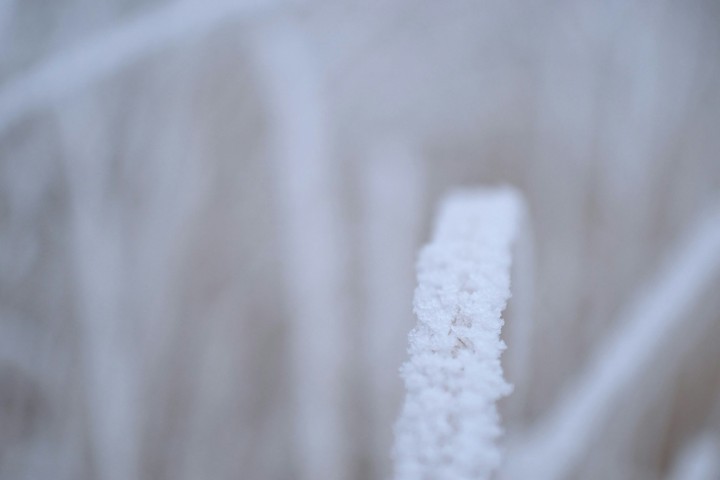 Snowflakes
