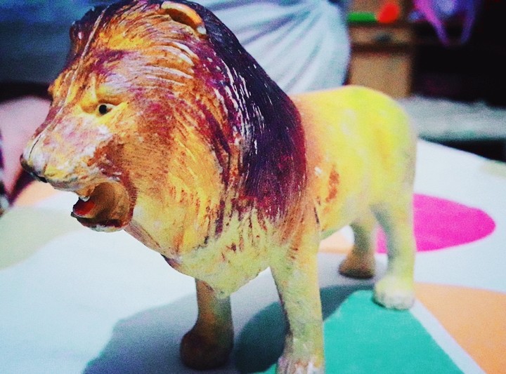 lion