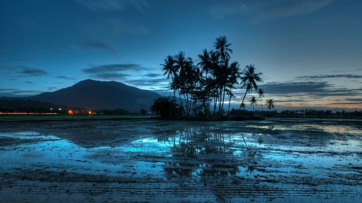 BLUE SUNSET