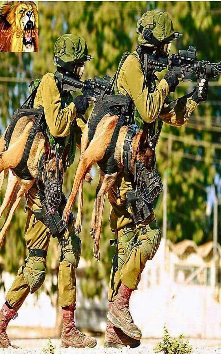 israel