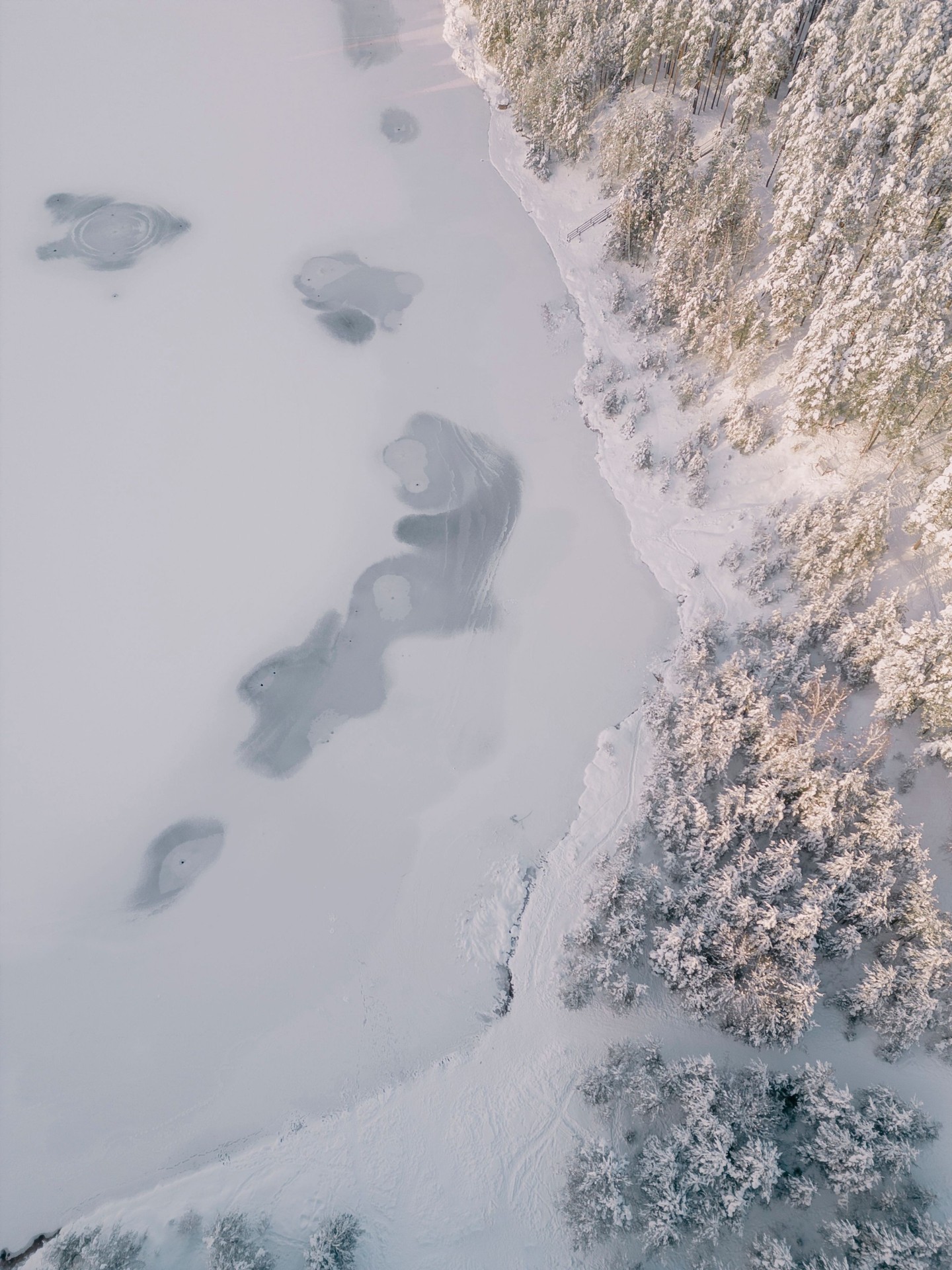 frost, snow duvar kağıtları