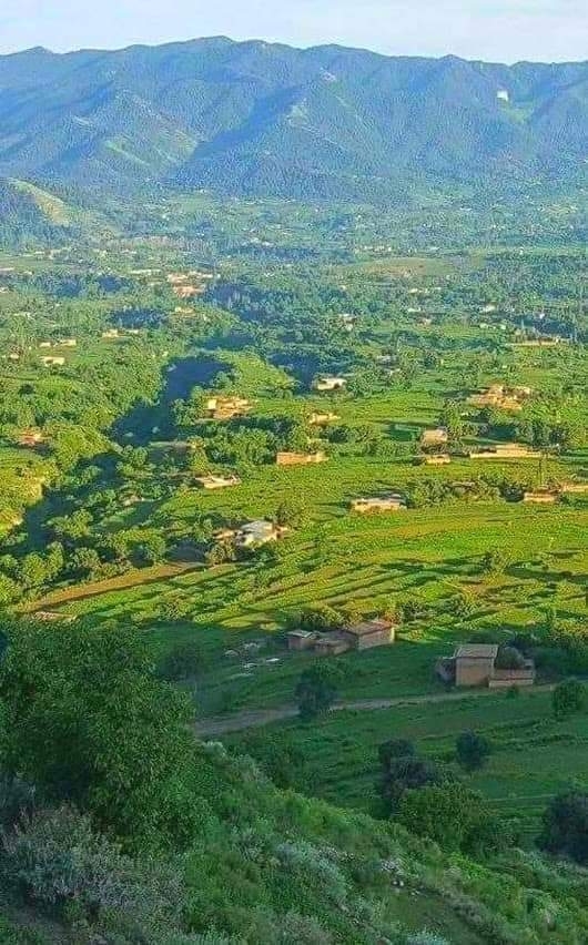 beauty of Pakistan ??