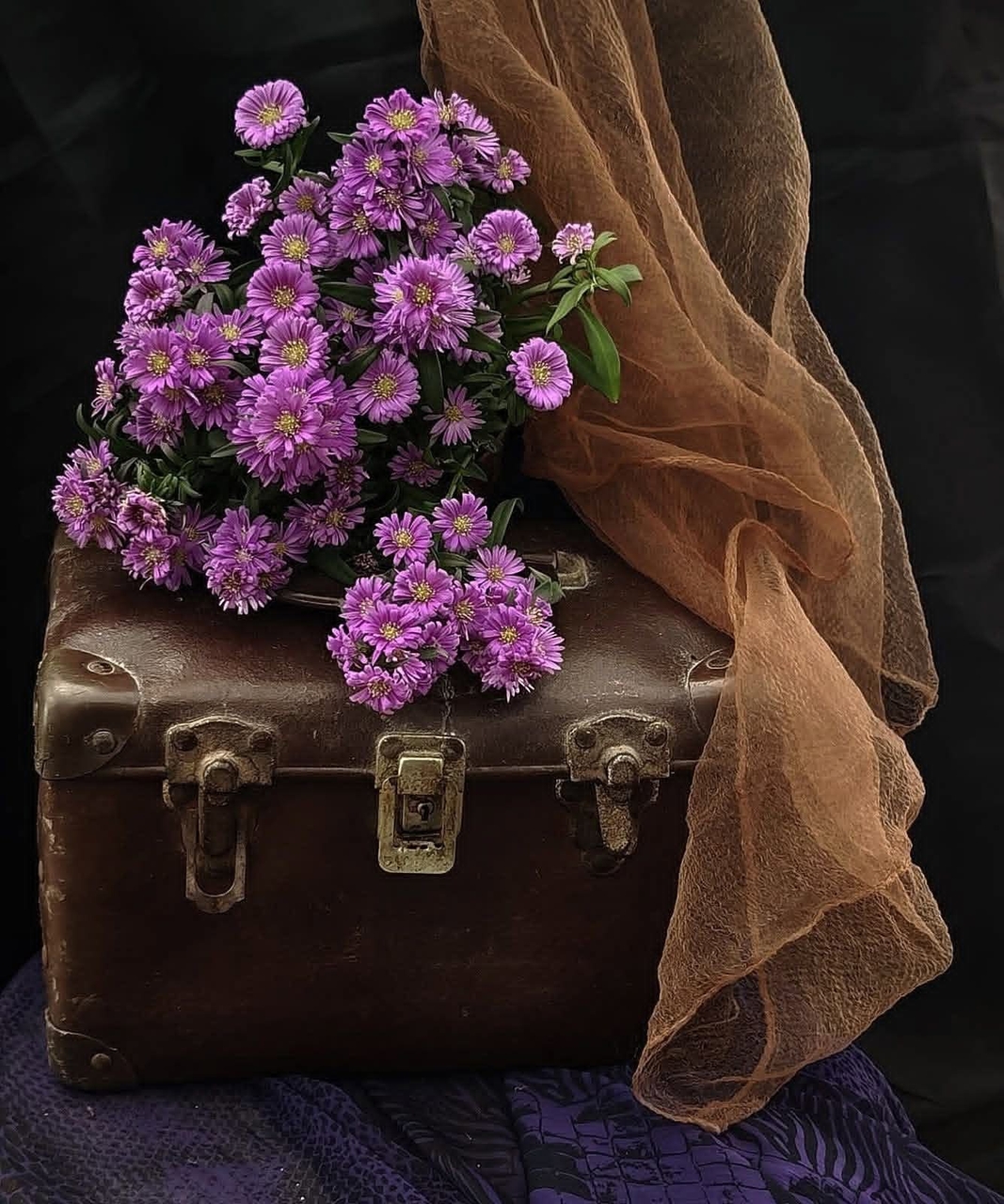 fondos de pantalla floristry, flower