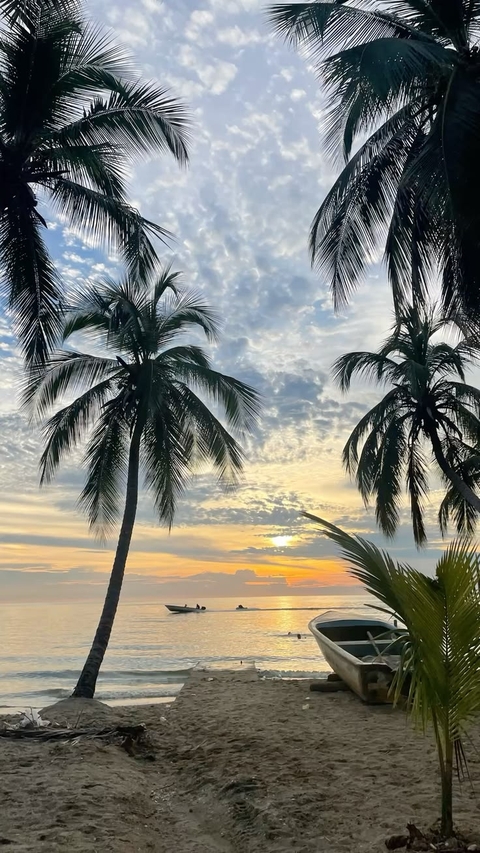 海洋, 海岸桌布