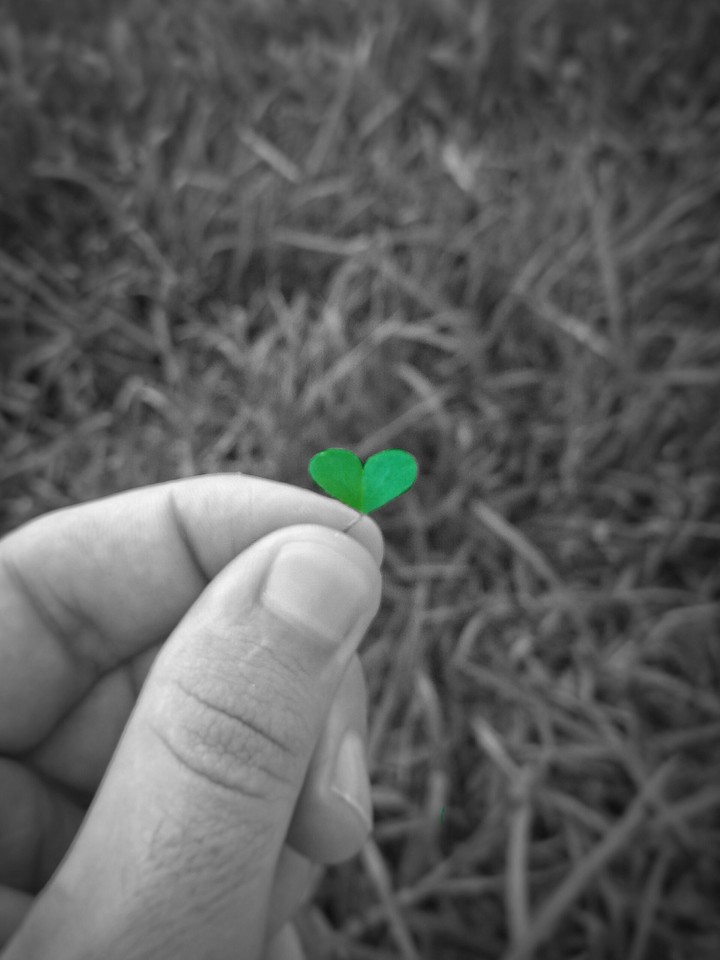 Heart