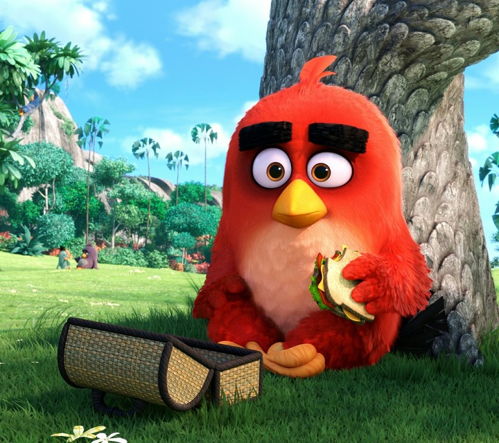 angry birrd