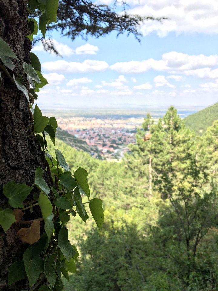 orman-forest. dağ-mountain